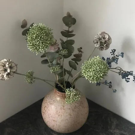 Im Alten Buero Apartment